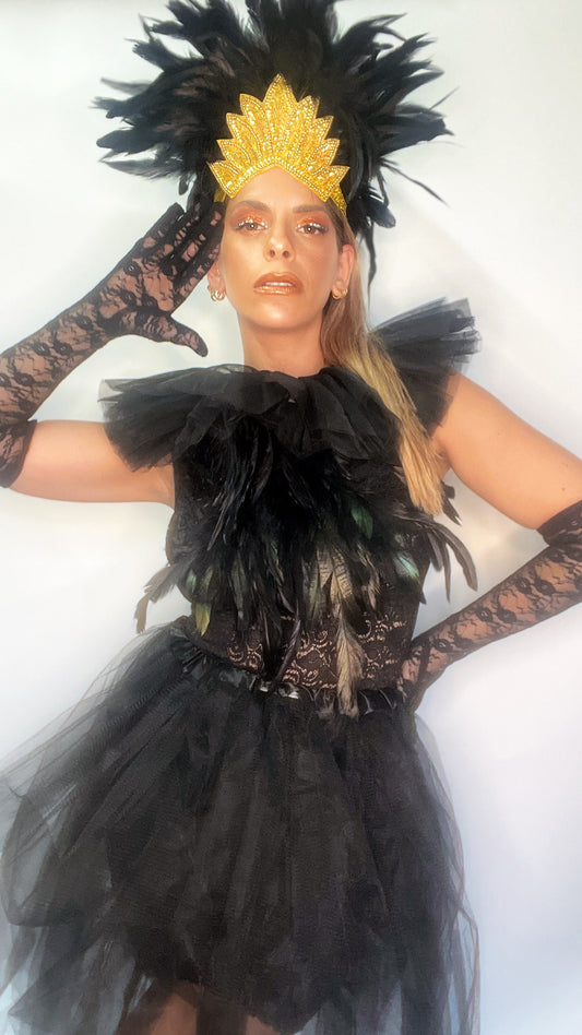 Black Swan costume